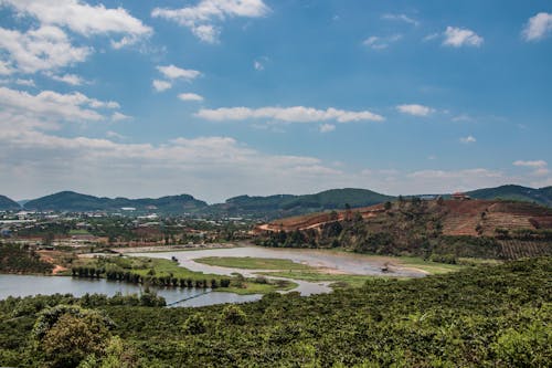 Aerial Photography of Green Tree Near Body of Water