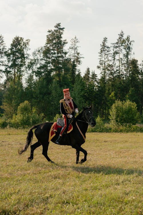 Hussar Riding on Horse on Grass Field