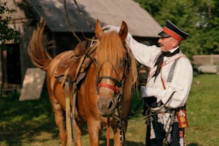Man Beside a Brown Horse