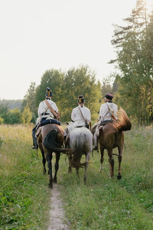 Darmowe zdjęcie z galerii z grupa, jeżdżenie, konie