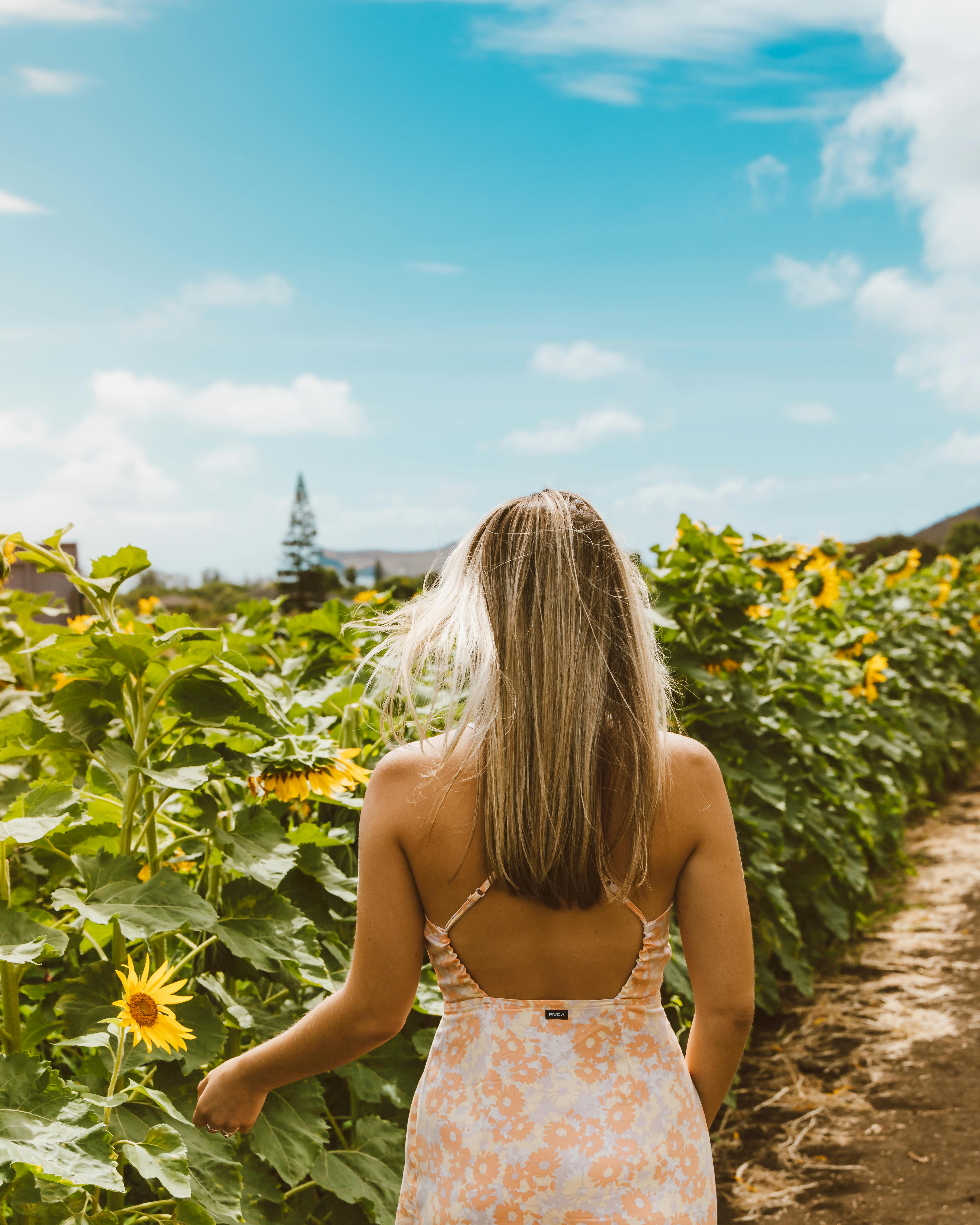 Back view of a woman with long hair in a sunflower field under a sunny blue sky.