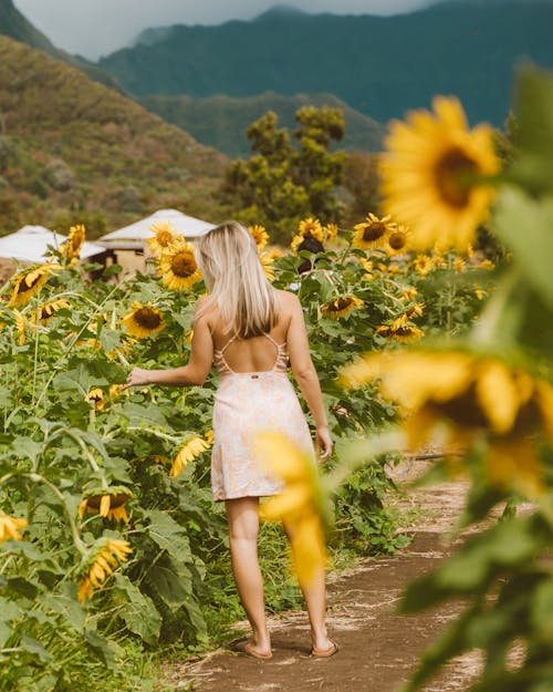 Woman in Floral Dress Standing Beside Sunflower Plants