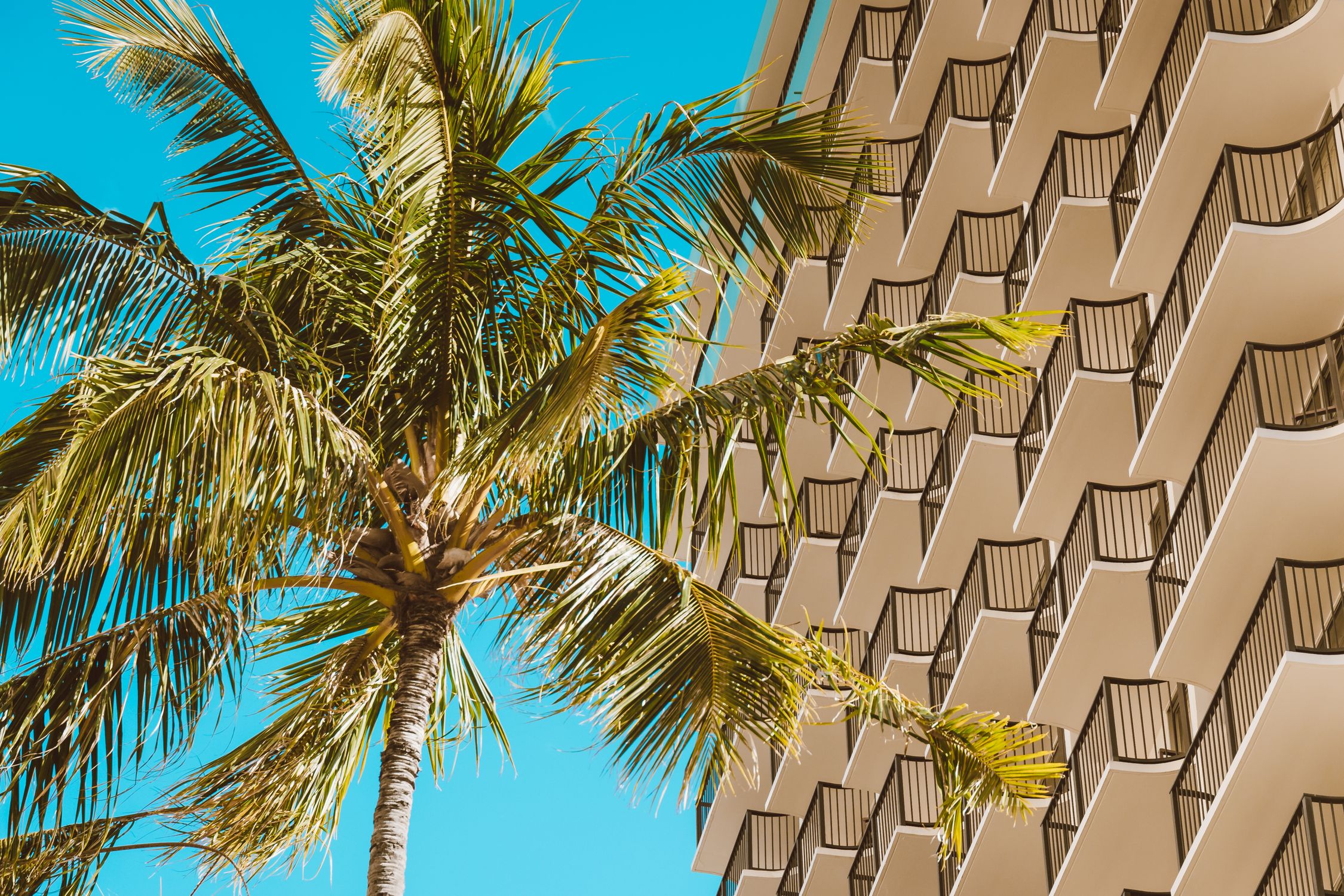 A vibrant view of a modern resort building with tropical palm tree under a turquoise sky.