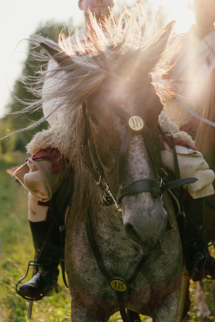 A Soldier Riding On A Horse