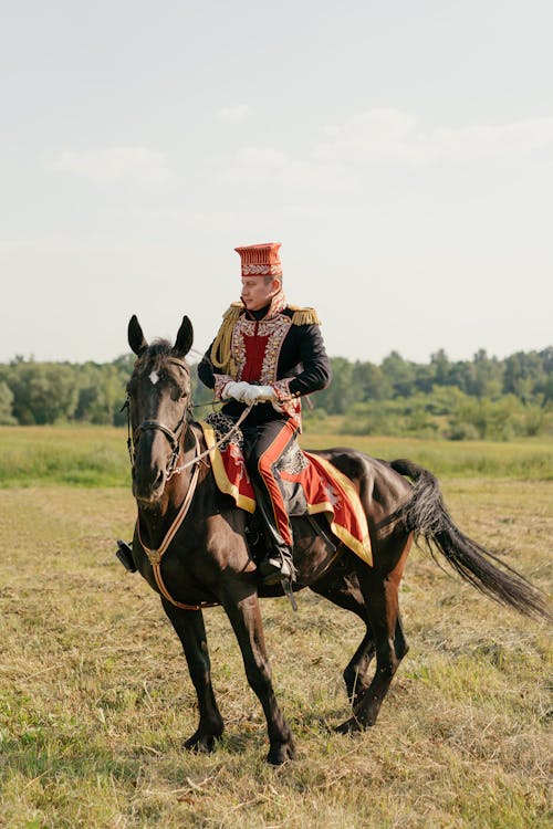 Δωρεάν στοκ φωτογραφιών με άλογο, άνδρας, άνθρωπος