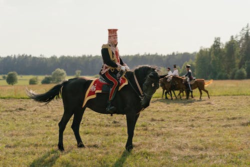 Free A Soldier Riding on a Black Horse Stock Photo