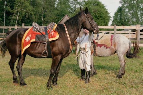 Two Saddled Horses