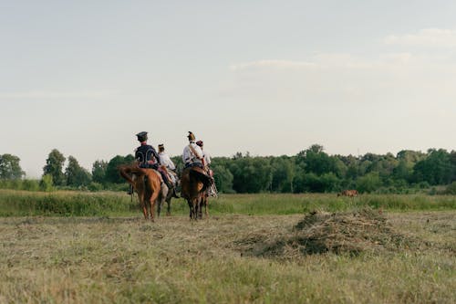 Back View of a People Riding a Horses