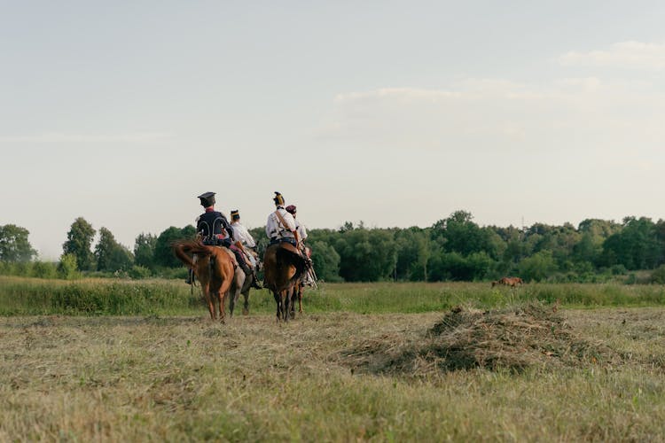 Back View Of A People Riding A Horses