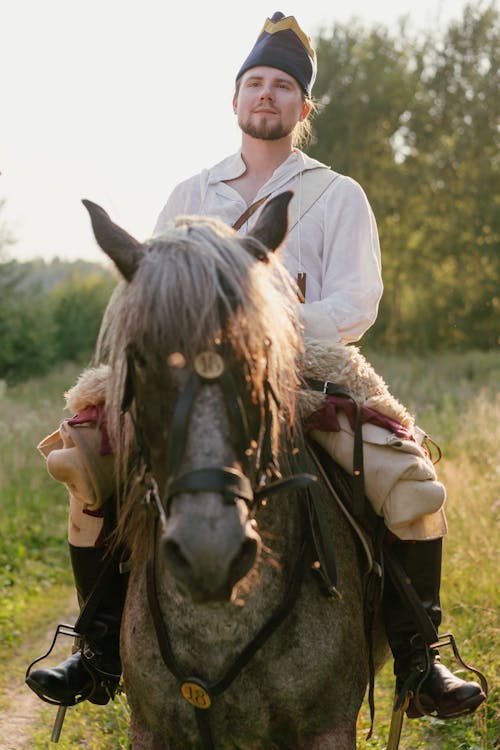 Základová fotografie zdarma na téma jízda na koni, kůň, muž