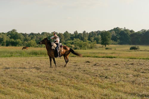 Δωρεάν στοκ φωτογραφιών με άλογο, ανεξαρτησία, θηλαστικό