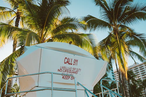Free Lifeguard Tower Under Coconut Trees Stock Photo