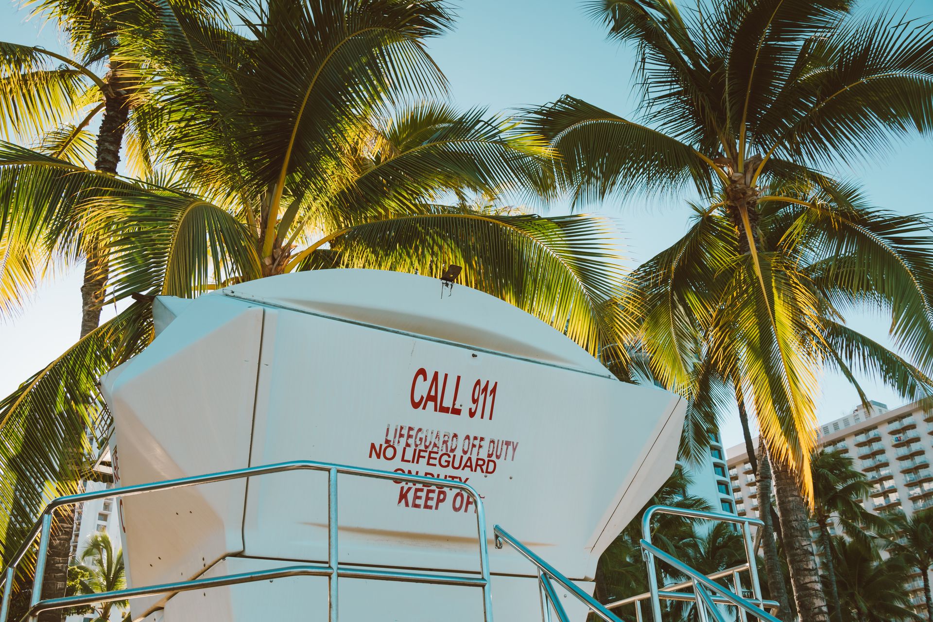 Lifeguard Tower Under Coconut Trees