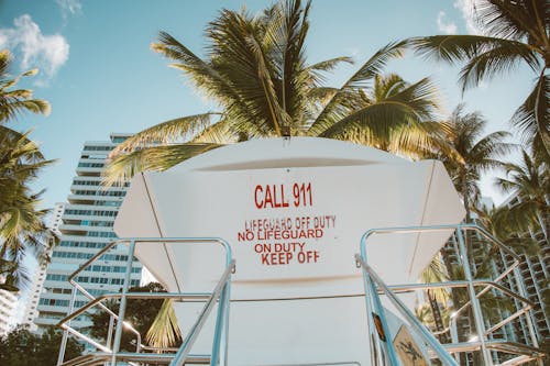 Lifeguard Tower Under Coconut Trees