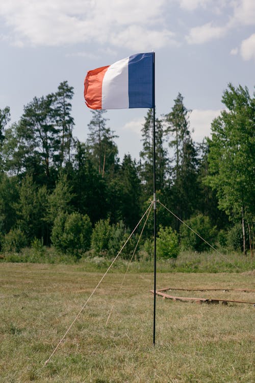  Flag of France Blowing in the Wind