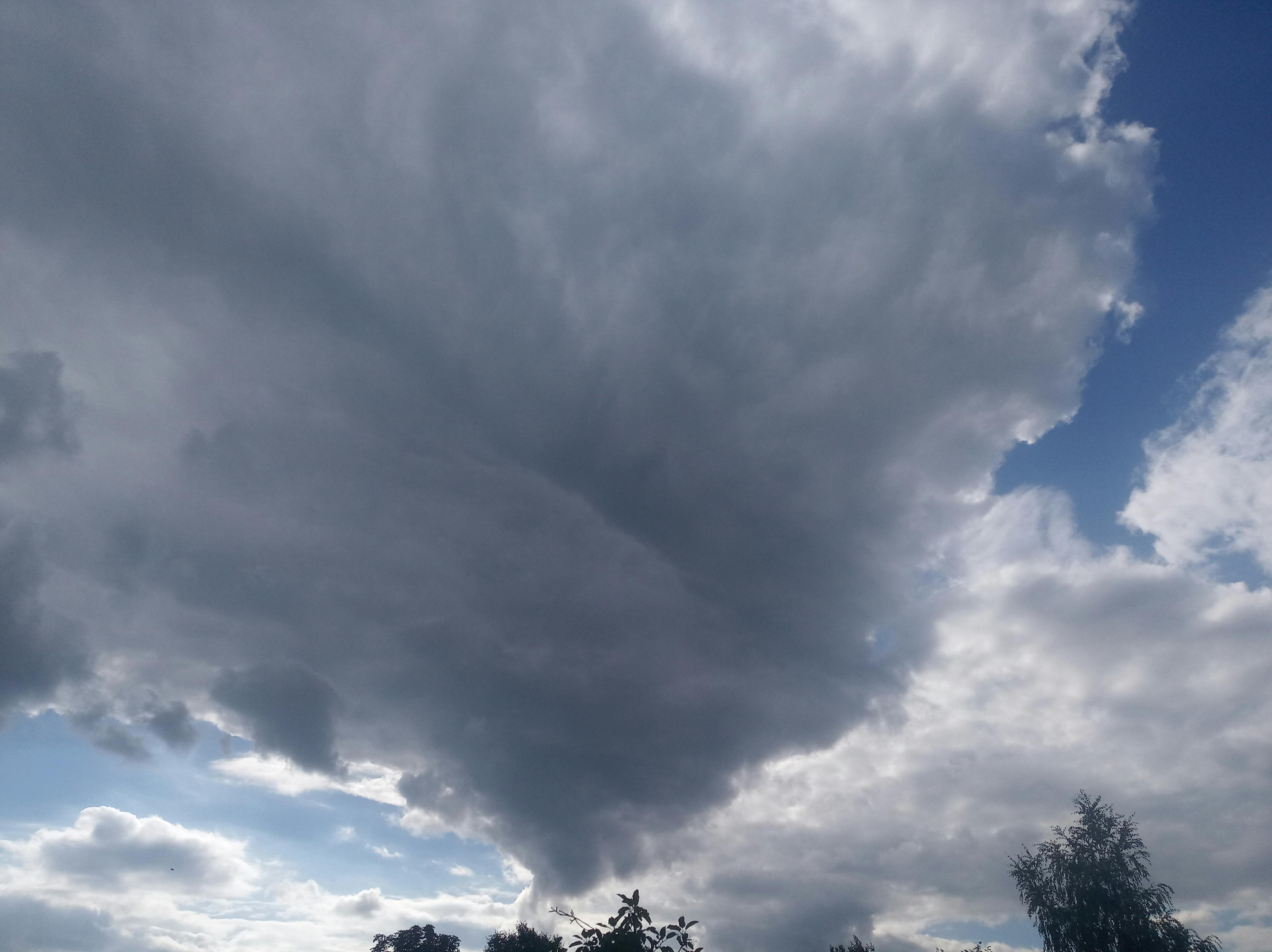 شاشة كمبيوتر تعرض رسومًا بيانية ورموز ذكاء اصطناعي، ترمز لتحليل البيانات والابتكار.