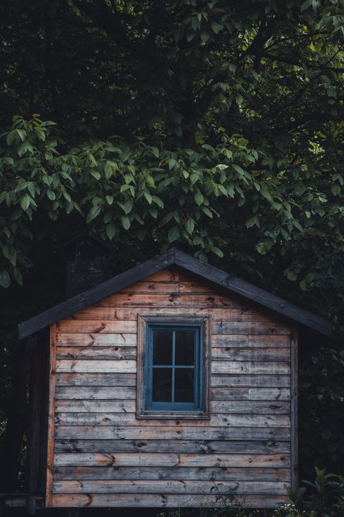 Free A rustic wooden cabin surrounded by lush greenery, offering a serene escape. Stock Photo