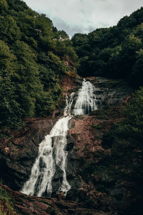 Free Dramatic cascade in a lush forest landscape, perfect for nature enthusiasts. Stock Photo