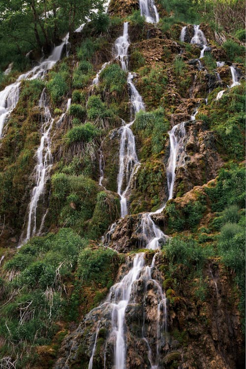 Waterfalls in the Middle of Green Trees