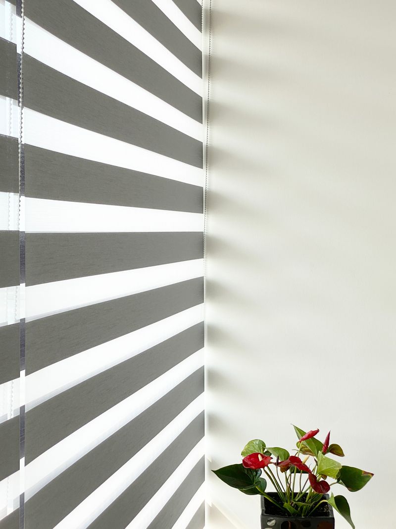 Pearl White zebra blind in a room