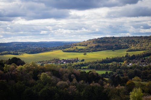 Immagine gratuita di alberi, ambiente, campagna