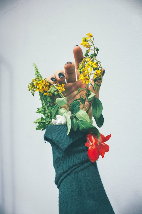 Close-Up Shot Shot of a Person Holding Flowers
