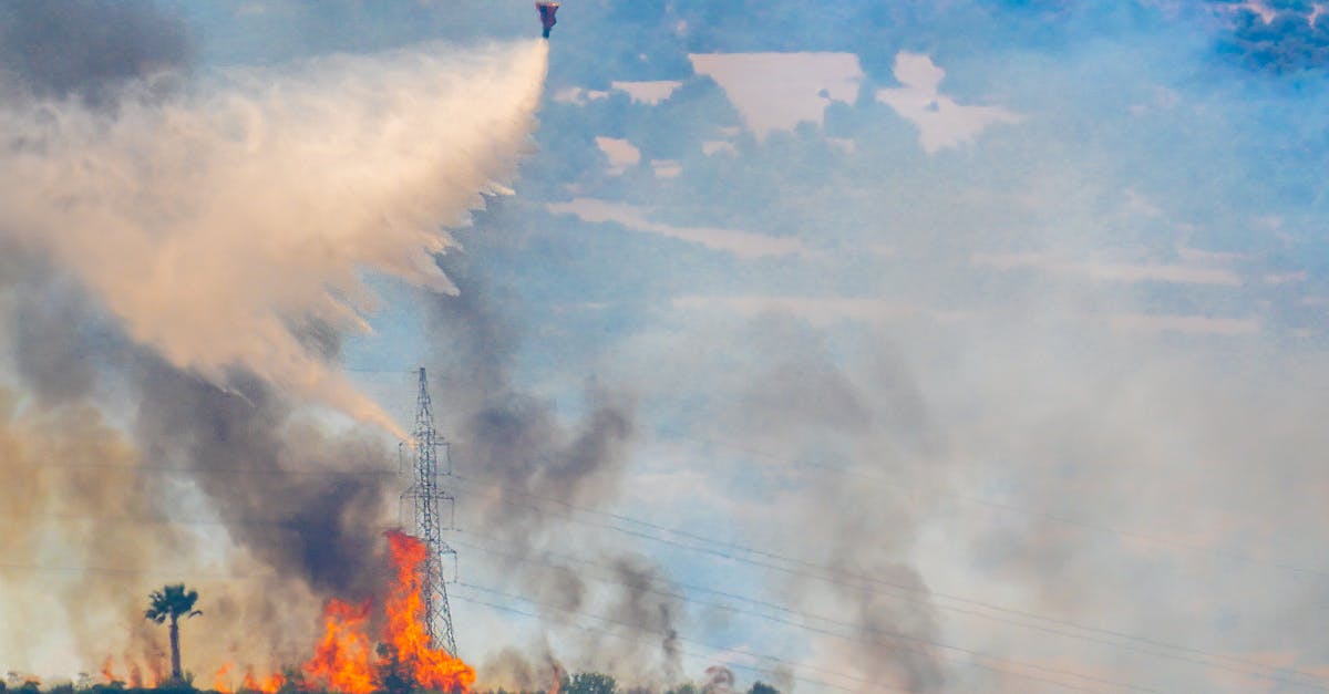 Photo by chris clark Aerial view of helicopter dousing forest fire with water bucket, showcasing fire control efforts.