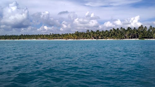 Body of Water Near an Island