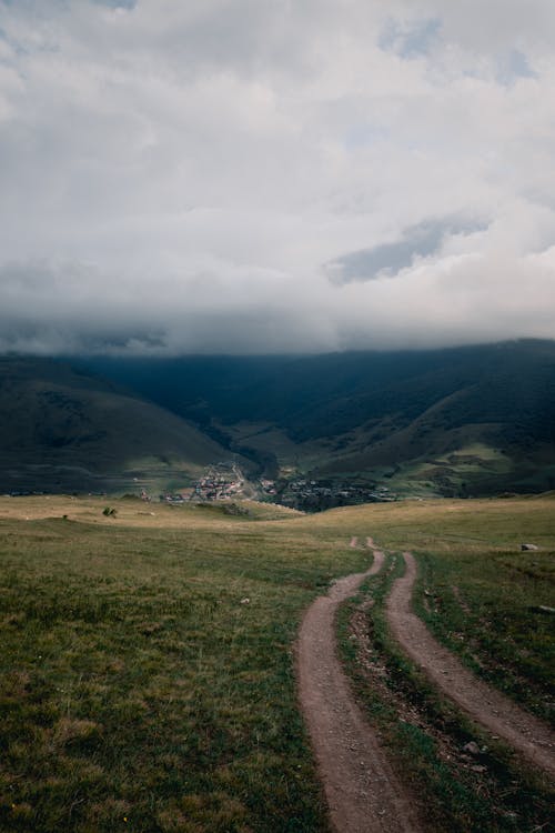 Imagine de stoc gratuită din cale, câmp, fotografiere verticală