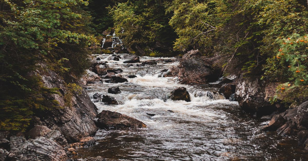 Wilderness Ribe River in Wilderness · Free Stock Photo