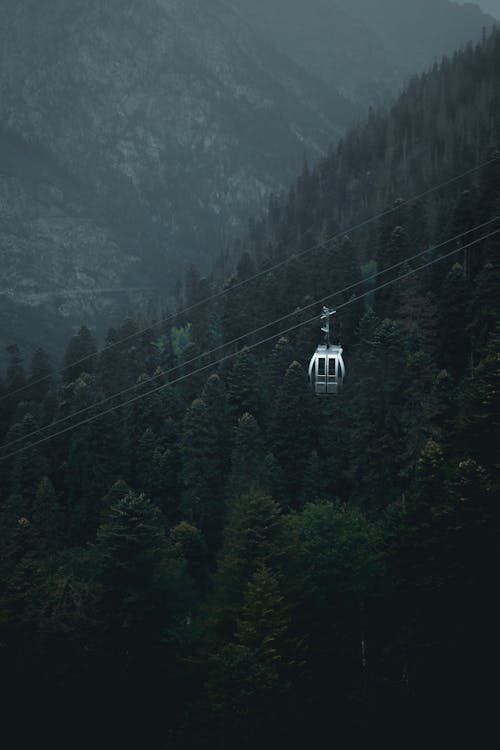 A Cable Car Travelling over a Forest