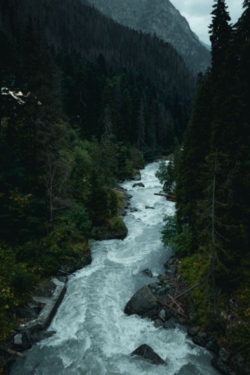 Free Aerial shot of a winding river flowing through a lush forest surrounded by mountains. Stock Photo
