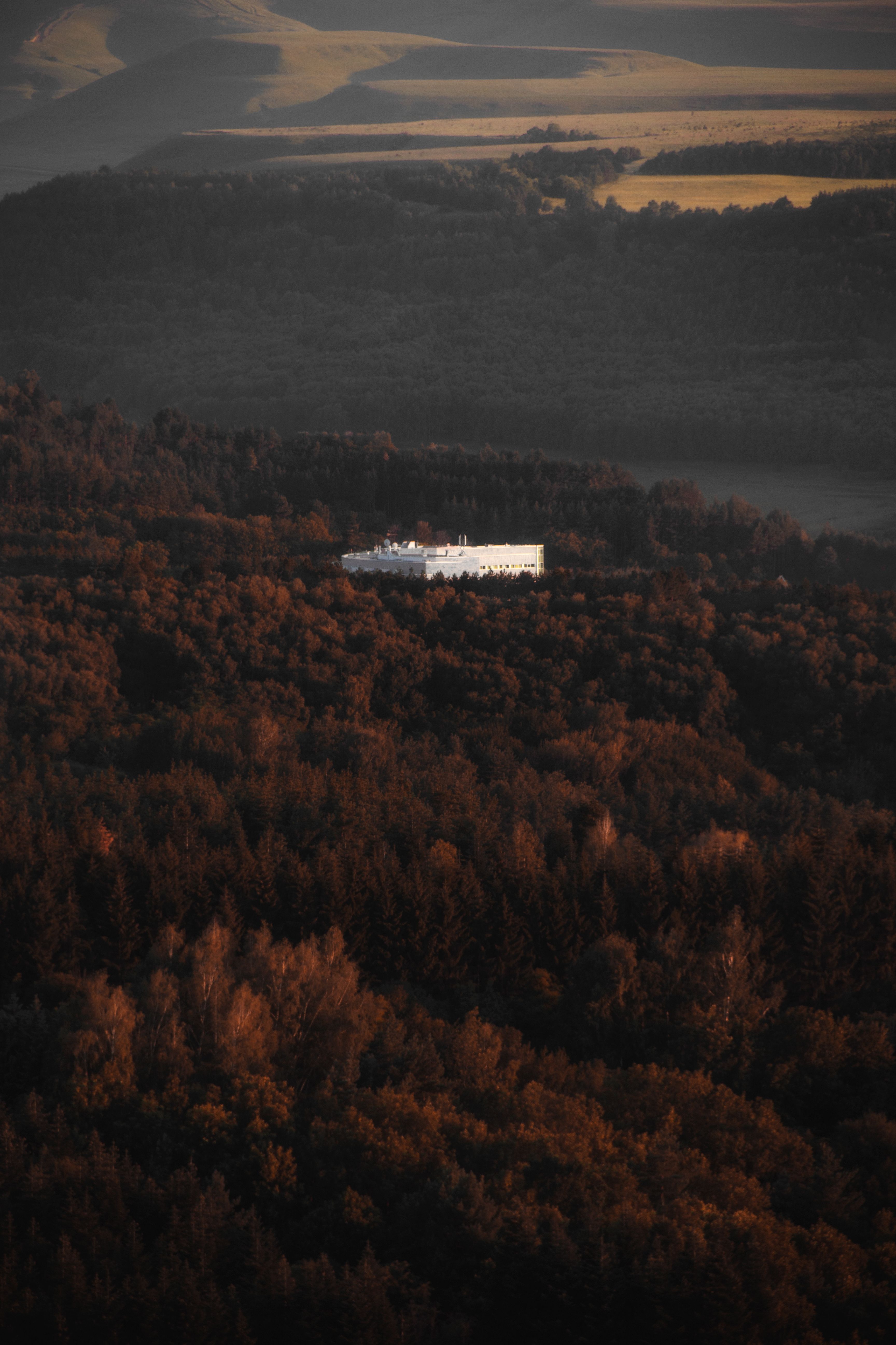 White Building Surrounded by Forest Trees at Autumn Dusk · Free Stock Photo