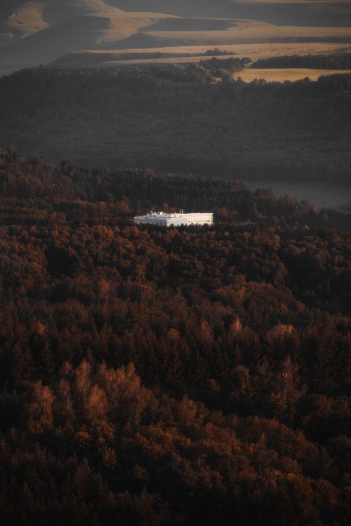 Forest Surrounded Building White Building Surrounded by Forest Trees at Autumn Dusk · Free Stock Photo
