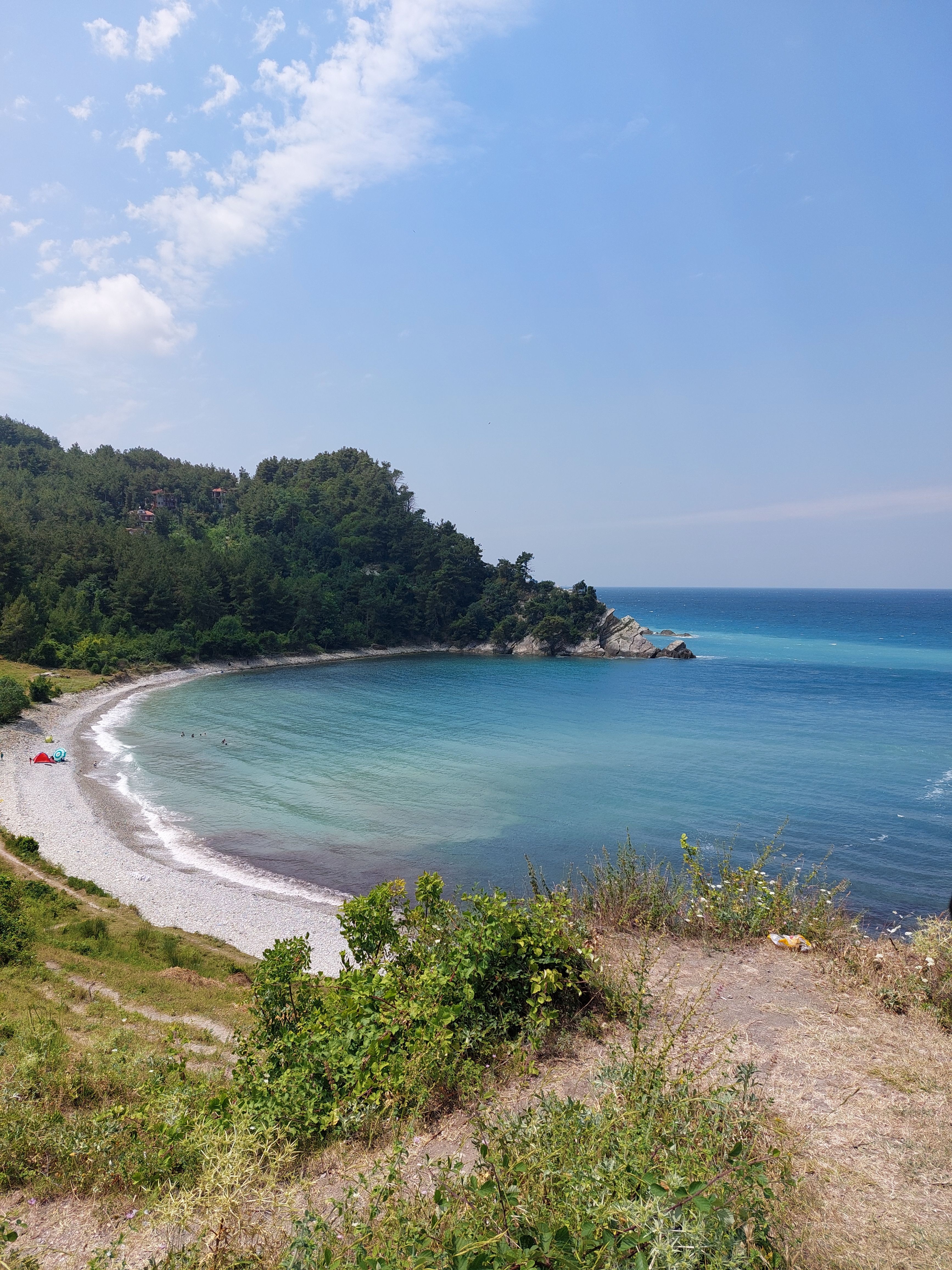 Peaceful beach cove with lush greenery and clear blue sea under a bright sky.