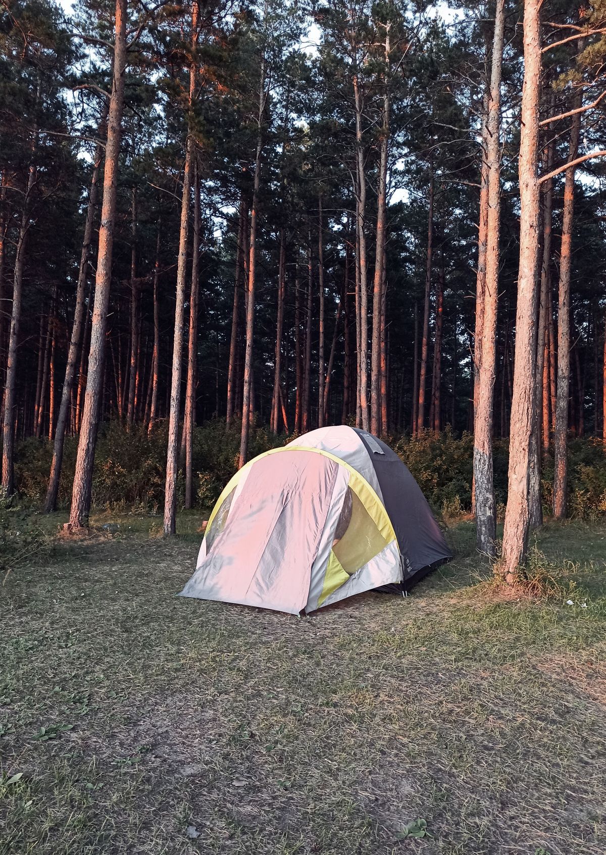 Outdoor accessories arranged for a trip