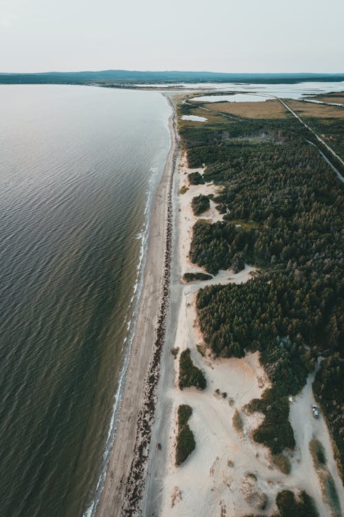 Ingyenes stockfotó drone szempontból, erdő, függőleges lövés témában