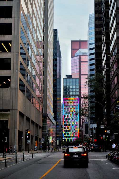 Cars on the Road in the City