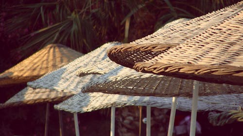 Brown Woven Umbrella