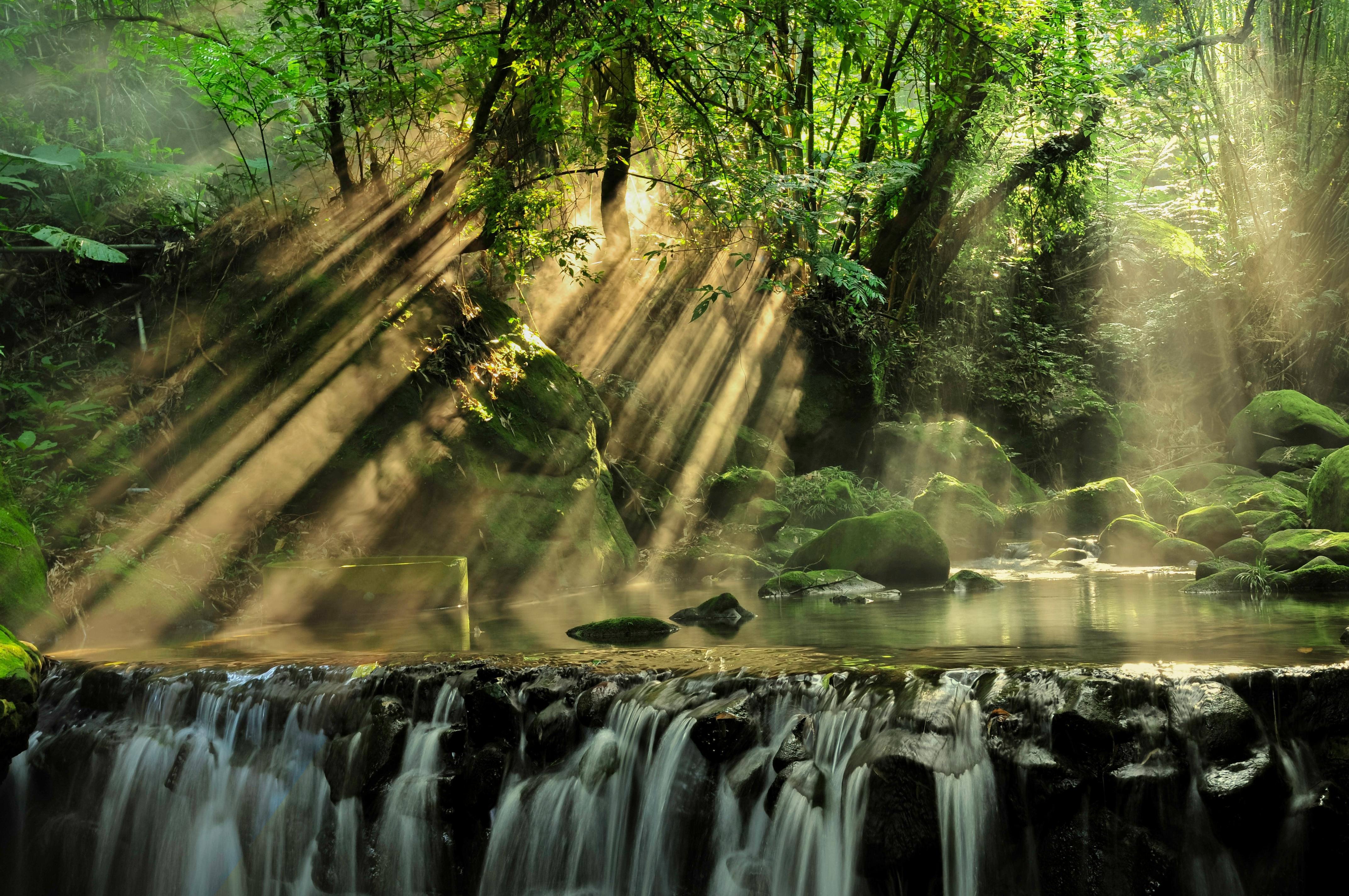 tropical rainforest waterfalls real