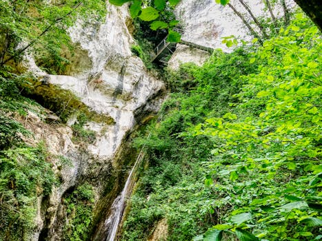 从郁郁葱葱的绿色森林峡谷中，充满活力的瀑布从岩石悬崖和树叶间倾泻而下