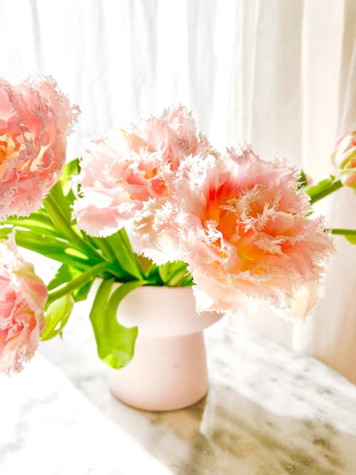 Ücretsiz bitki örtüsü, Çiçek aranjmanı, Çiçek vazosu içeren Ücretsiz stok fotoğraf Stok Fotoğraflar