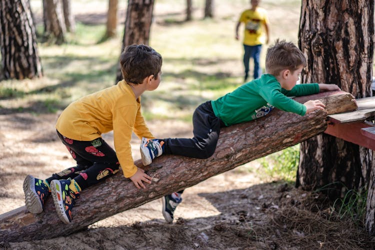 Two Boys Climbing A Tree Log