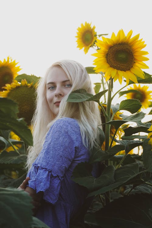 Woman in Blue Long Sleeve Shirt Standing Beside Sunflower Field