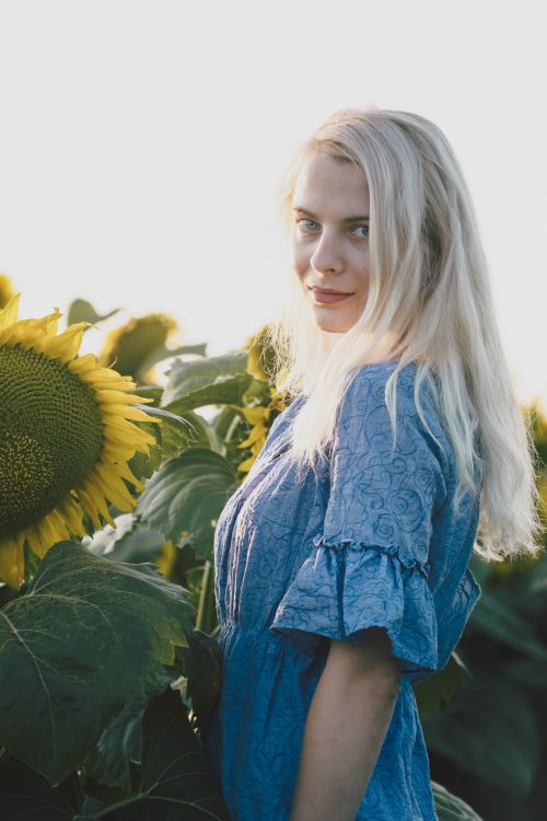 blue dress with sunflowers Portrait of a Young Girl. a Girl in a Blue Dress Holds a Sunflower Stock Photo
