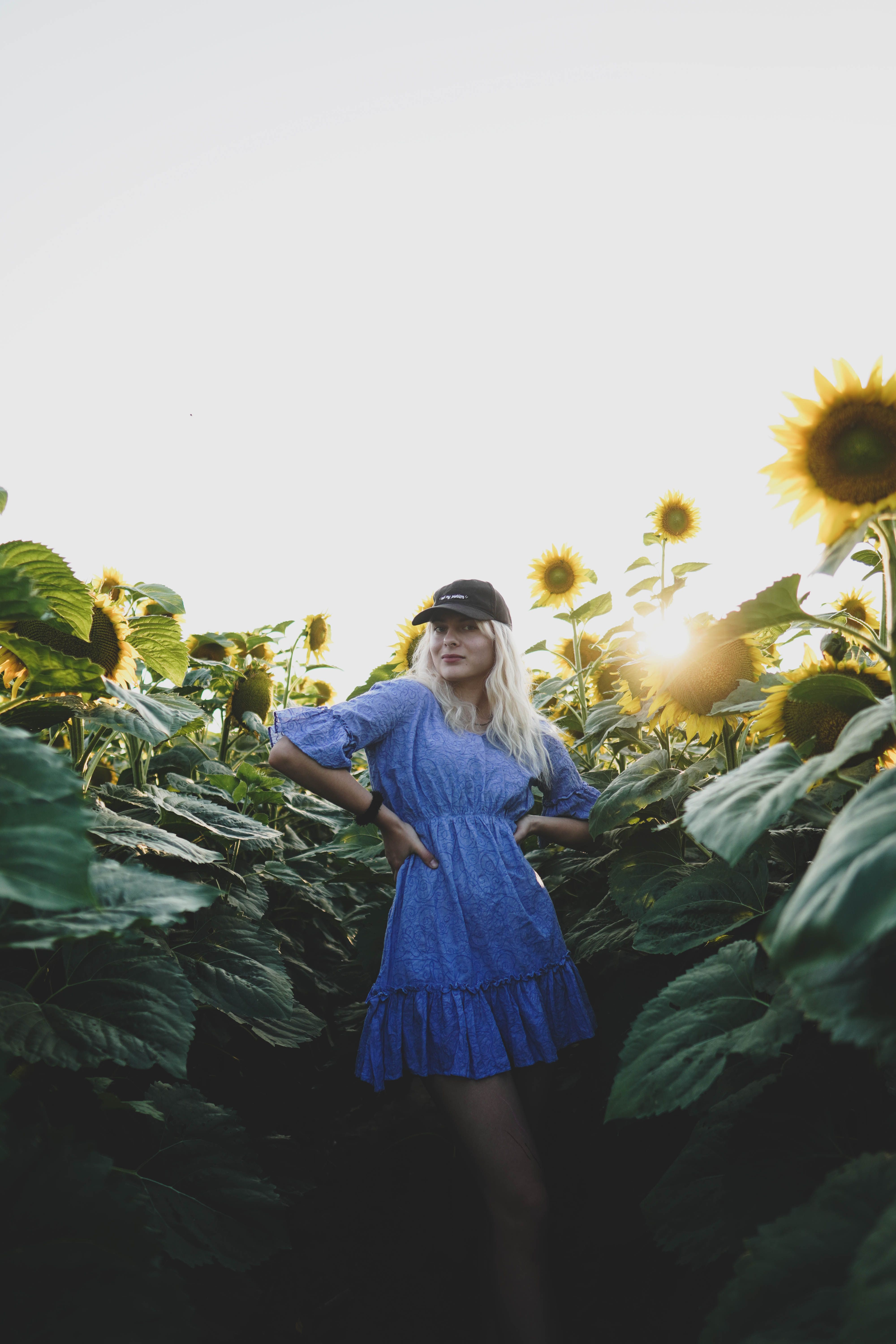 A Woman in Blue Dress Standing on the Field of Sunflowers  Free Stock Photo