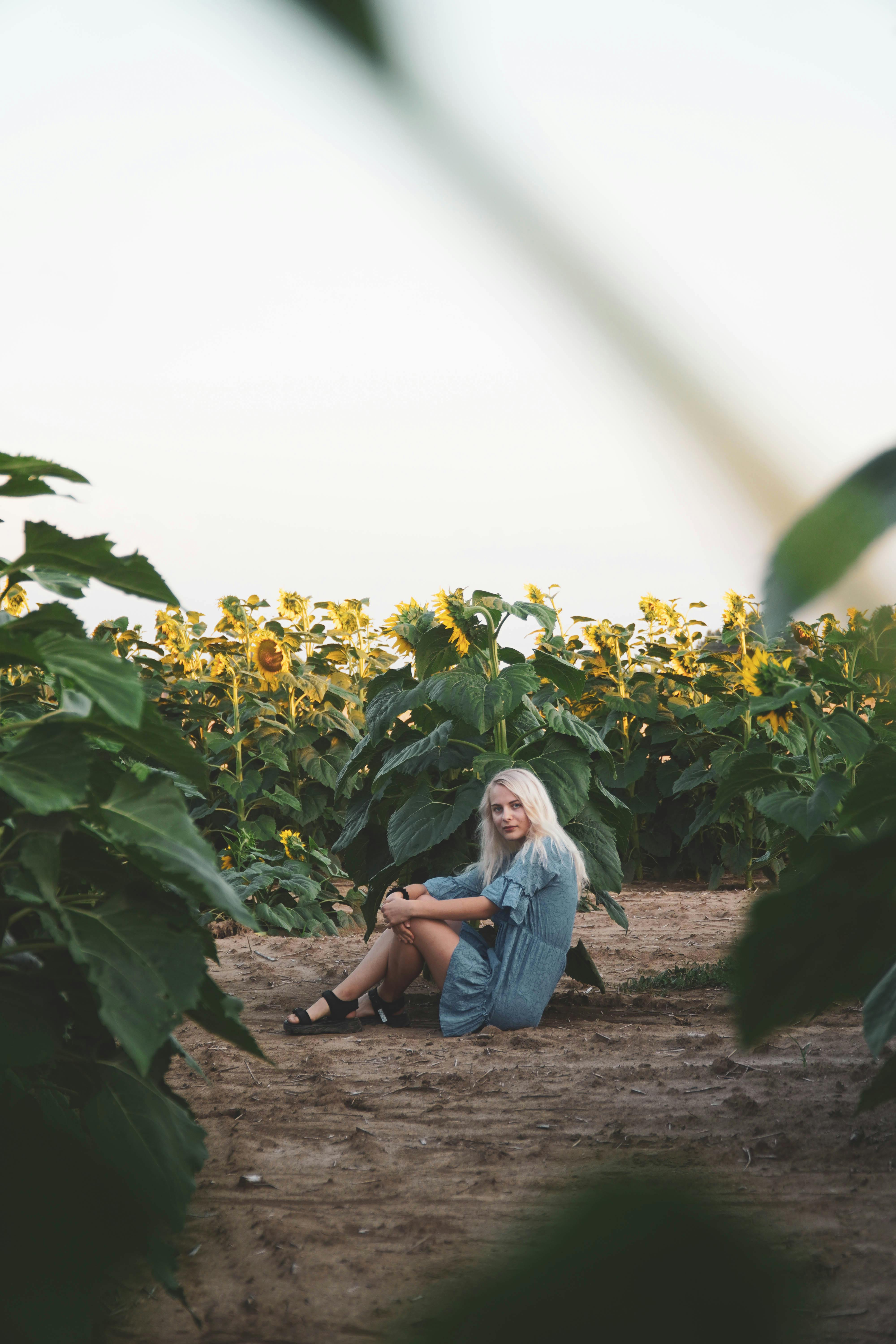 A woman sitting gracefully in a vibrant sunflower field during sunset, capturing the essence of summer.