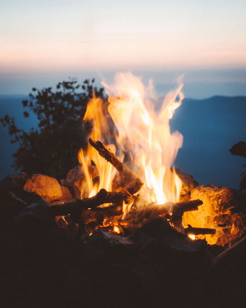 뜨거운, 불, 수직 쐈어의 무료 스톡 사진