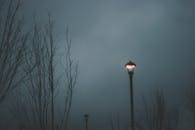 雾蒙蒙的夜晚中，一盏孤独的路灯照亮了树木的轮廓