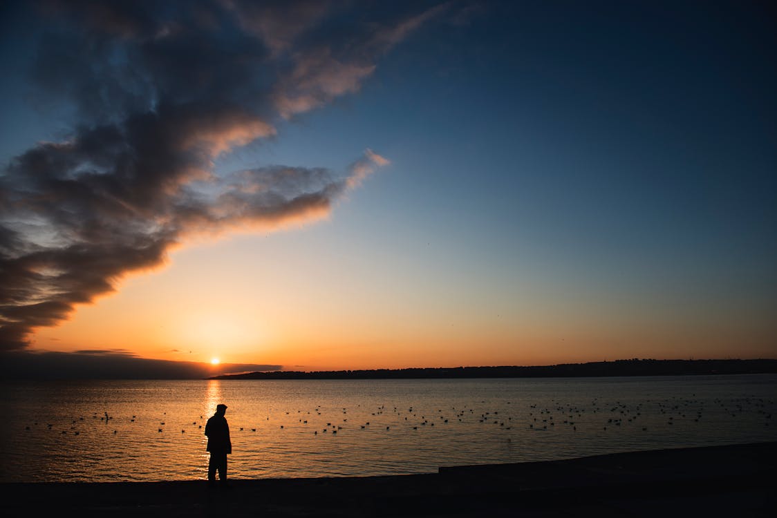 Immagine gratuita di alba, crepuscolo, in piedi